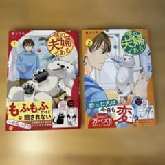 後の夫婦である 1巻 2巻セット 湊ユウキのサムネイル