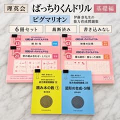 理英会 ばっちりくんドリル 基礎編 ピグマリオン 6冊セット 裁断済