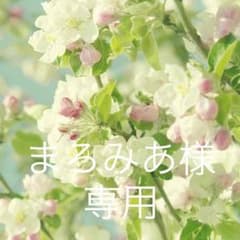 よしながふみ きのう何食べた？ 1〜5巻のサムネイル