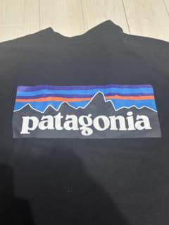 patagonia tシャツ　黒のサムネイル