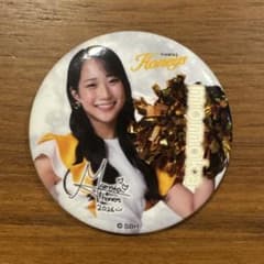 ハニーズ momoka 缶バッジ 福岡ソフトバンクホークス 若鷹ガチャ