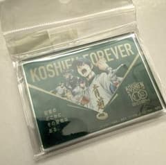 [C-3] Hanshin Koshien Stadium 100th Anniversary Collaboration Diamond no Ace Magnet