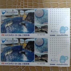 新江ノ島水族館ペアチケットのサムネイル
