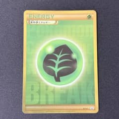 XY-P 基本草エネルギー_ゴールデンプレゼントキャンペーン PROMO