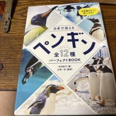 日本で会えるペンギン全12種 パーフェクトBOOKのサムネイル
