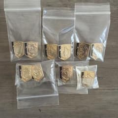 新テニスの王子様 U-17日本代表ピンズ 全10種 セット Genius10 - メルカリ