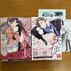 TLコミック 2冊セット ⑧ - メルカリ