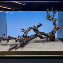 MSW-7685 天然流木 枝流木 一点物 アクアリウム - メルカリ