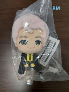 신품 BTS tinytan 타이니탄 남 RM상 봉제인형