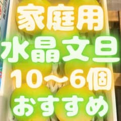 水晶文旦　柑橘　文旦　140