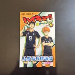 ハイキュー チームブックvol.1 烏野高校のサムネイル