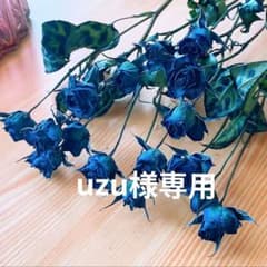 ミニバラ❇️ネイビー⭐️ドライフラワー❣️ - メルカリ