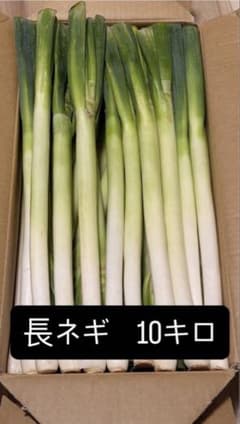 長ネギ 2L 10kのサムネイル