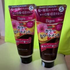 お値下★ビゲン カラートリートメント ナチュラルブラウン 2本セットのサムネイル