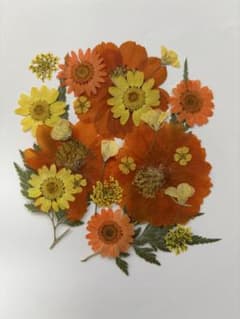 ✧hana✧様 リクエスト 5点 まとめ商品 ✩様 リクエスト 2点 まとめ商品 ✧hana✧様 リクエスト 5点