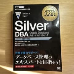 【 Umiさん専用】Silver DBAのサムネイル