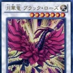 月華竜ブラックローズのサムネイル