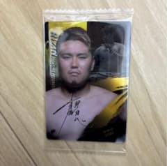 RIZIN 上田幹雄 トレーディングカード No.07のサムネイル