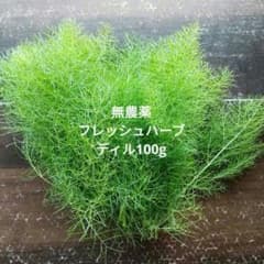 無農薬朝採りフレッシュハーブディル100g強のサムネイル