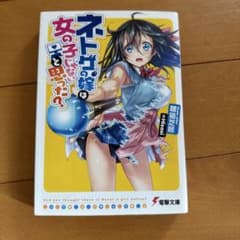 ネトゲの嫁は女の子じゃないと思った？ 電撃文庫のサムネイル