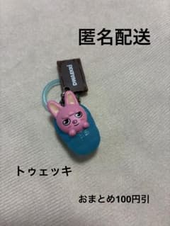 SKZOO めじるしアクセサリー　ソロキャンプのサムネイル
