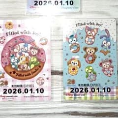 専用　　リゾラ期限切れ切符2点のサムネイル