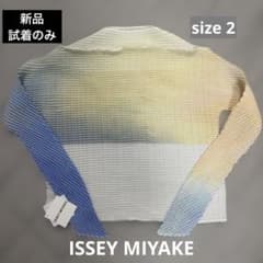 新品試着のみ⭐︎ISSEY MIYAKEプリーツグラデーションTOPサイズ2