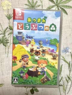 あつまれ どうぶつの森 Nintendo Switchのサムネイル