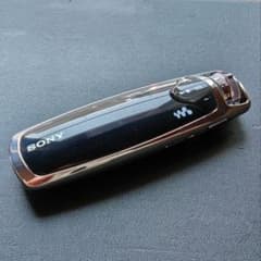 希少 SONY WALKMAN NW-S703F 有機EL ノイズキャンセリング - メルカリ