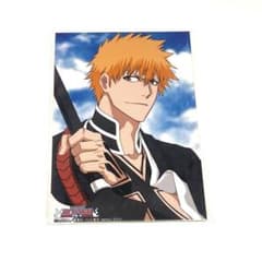希少】BLEACH ジャンプフェスタ2014限定 生ブロマイド 一護＆白哉