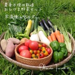 翌日配達エリア限定   農薬不使用 Lサイズ 野菜セット　野菜の詰め合わせのサムネイル