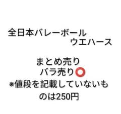 全日本バレーツインウエハース 2024 2025のサムネイル