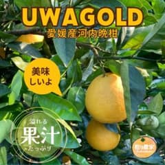 河内晩柑大玉箱込み8Kgのサムネイル