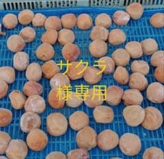 サクラ様専用のサムネイル