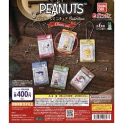 PEANUTS パッケージミニチュアコレクション　チャーリー・ブラウンのサムネイル