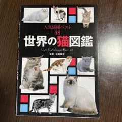 世界の猫図鑑 : 人気猫種ベスト48のサムネイル