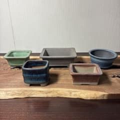 【名品】　小品盆栽鉢　陶酔2点　丸藤1点　参樹陶園1点 落款有1点　5点セット 名品】 小品盆栽鉢 山野草鉢 陶酔3点 参樹陶園1点 他1点 5点セット