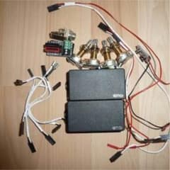 EMG Zakk wylde set 81/85のサムネイル