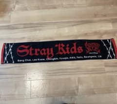 straykids スキズ タオル 京セラドーム 大阪 dominATE ワルツのサムネイル