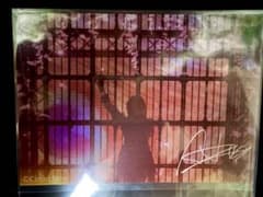 Adoのドキドキオンラインくじ 複製サイン入りライブ写真 - メルカリ