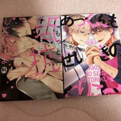 BL 漫画 まとめ売り もっと抵抗してくれよ 1巻　あっくんも、せいぎのとりこ？のサムネイル