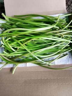 洗浄のびる山菜 野蒜 天然野菜500g以上 | Shop at Mercari from Japan