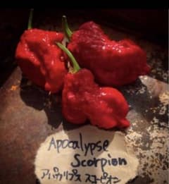 Apocalypse Scorpionのサムネイル