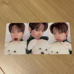 SF9 インソン hellolive ヨントン 応募特典 トレカ - メルカリ
