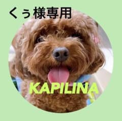 くぅ様専用のサムネイル