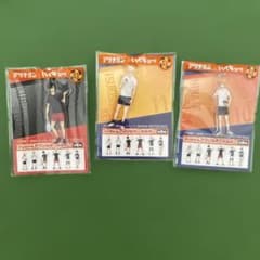 ハイキュー!! アリナミン オリジナルアクリルキーホルダー 3種