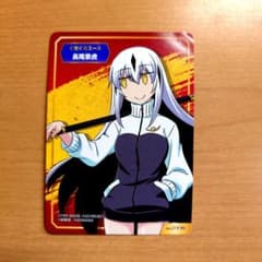 Fate FGO TYPE-MOON フェア アニメイト カード 長尾景虎 - メルカリ