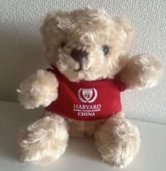 ハーバード大学 模擬国連 テディベア ぬいぐるみ 非売品 HMUN ハーバード大学 模擬国連 テディベア ぬいぐるみ 非売品 HMUN - メルカリ