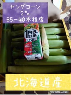 北海道産 ヤングコーン 2キロ 35-40本のサムネイル