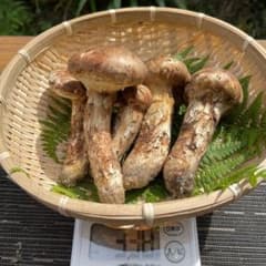 【値段交渉可】信州産 採りたて松茸 338gのサムネイル